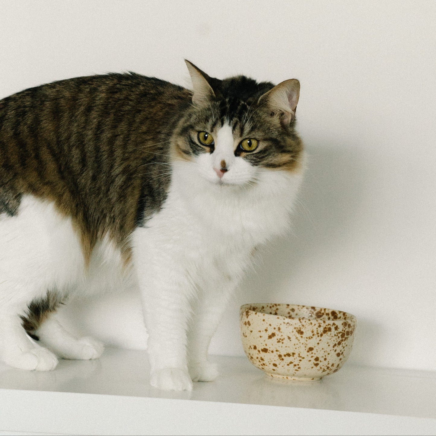 Handmade ceramic bowl, cereal bowl, granola bowl, salad bowl, snacks bowl.