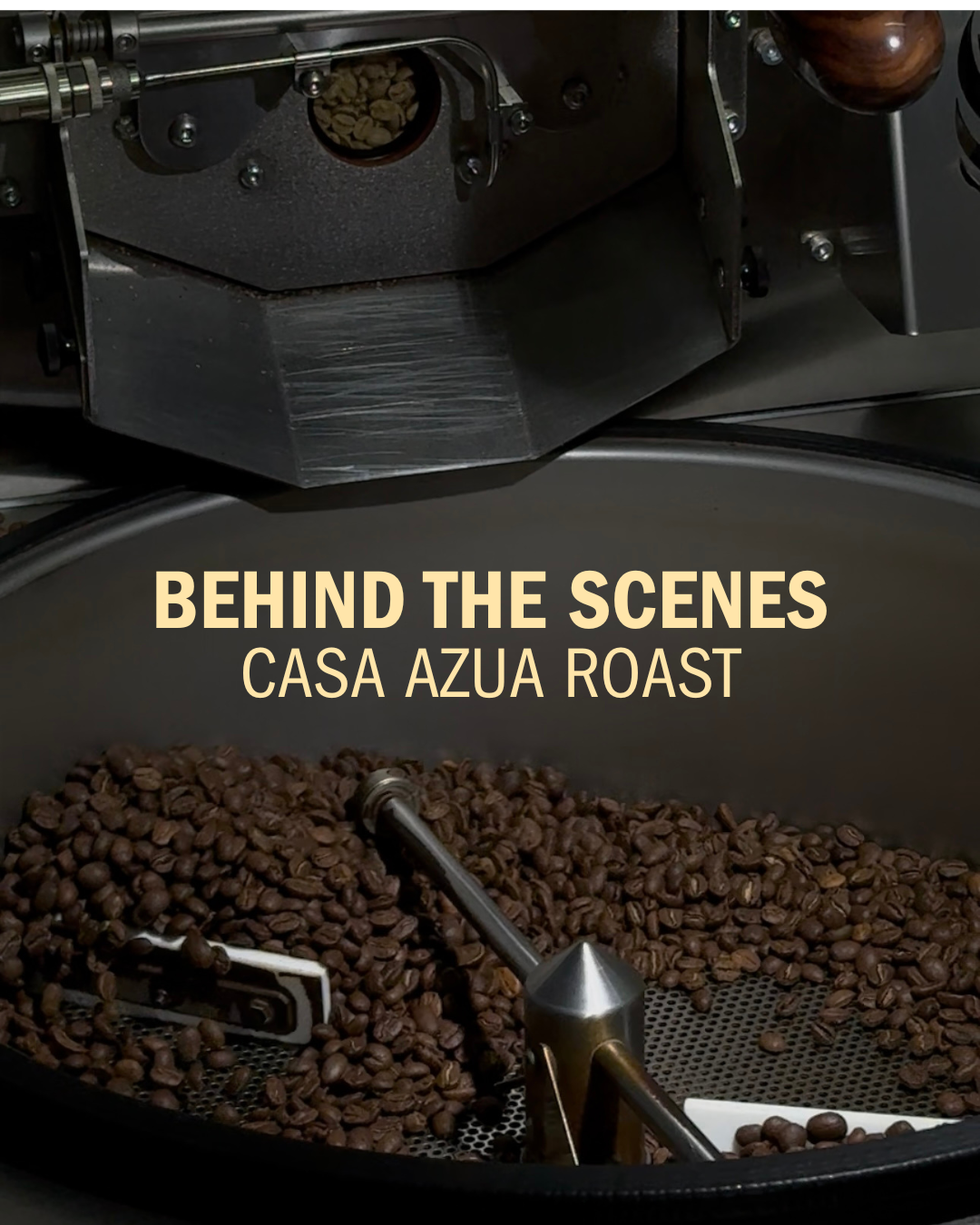 CASA AZUA SPECIALTY COFFEE, COLOMBIAN COFFEE.